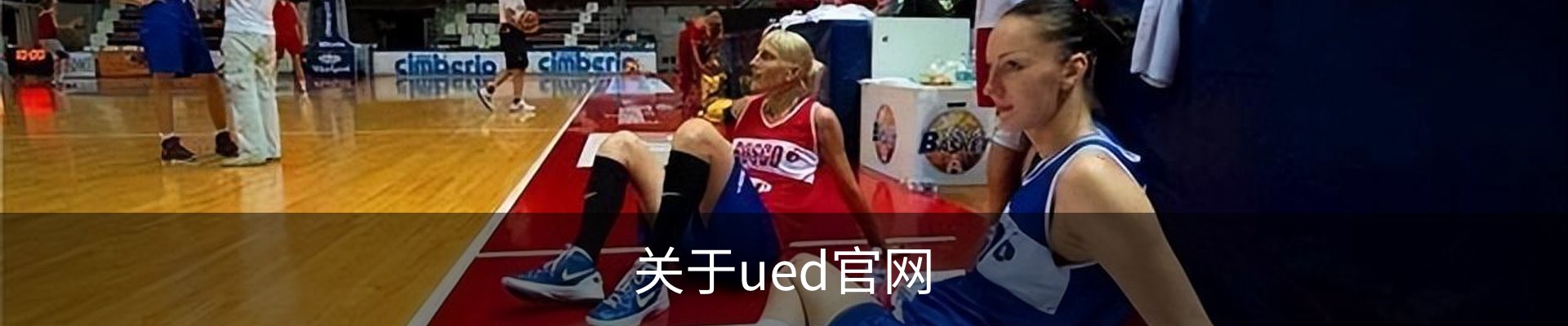 关于ued官网